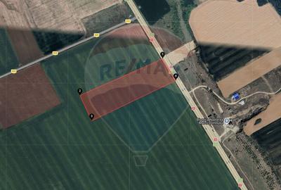 Teren agricol extravilan de 30000 mp, în Florești - 2