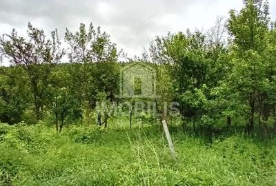 Teren de 994 mp, în Budiu Mic - 2
