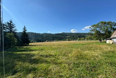 Vanzare 33400 parcelat- 18 loturi - Plaiul Sarului la sosea- microdezvoltare - 12