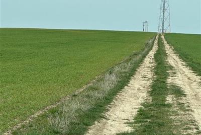 Teren agricol extravilan de 182000 mp, în Herneacova - 2