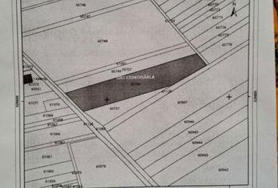Teren de 8113 mp, în Ciorogârla - 2