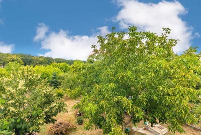 Casa / Vila de vanzare in Mogosoaia, langa lac si padure - 24