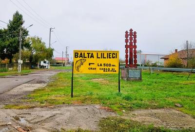 Lilieci, Sinesti, Judet Ialomita, Strada Dealului nr.1 - 16