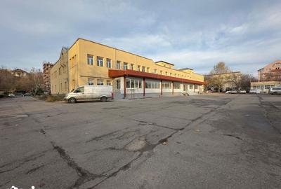 Spațiu comercial, de 100 mp, în Smârdan - 13
