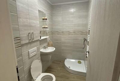 De inchiriat apartament cu 2 camere zona Buziasului - 2