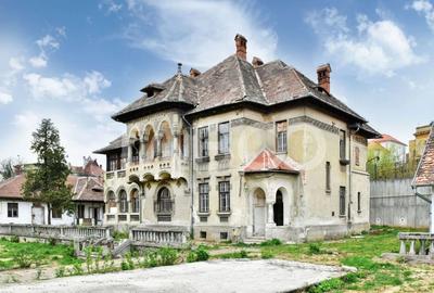 Vila interbelica isi asteapta cu speranta tacuta noul proprietar - 5