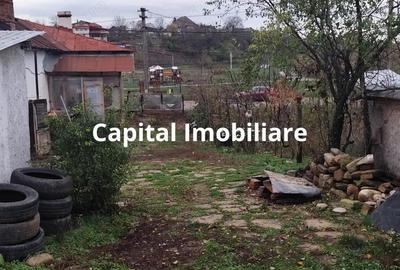 Baicoi Central 1613 mp Parc Petrom - 1