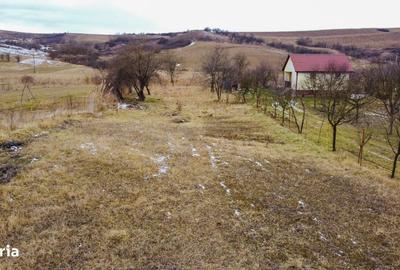 Spațiu comercial, în Sălicea - 5