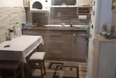 Vind apartament 2 camere, ultracentral, etajul 1, mobilat
