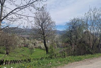 Teren de 2111 mp, în Ghioșești - 6