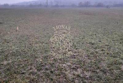 Teren de 1698 mp, în Dumitrița - 1