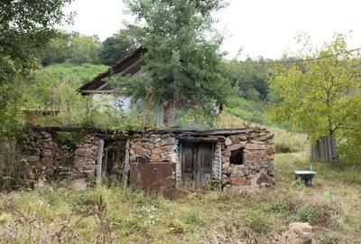 Teren intravilan de vis in Mun?ii Apuseni, curent + izv... - 2