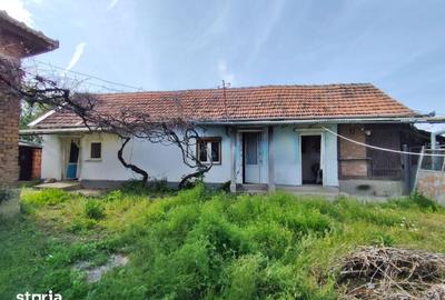 Casă cu 5 camere cu Teren 4122 Mp în Cociuba Mare - 4