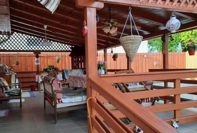 Unguras, casa , 6 ari teren - 3