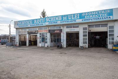Afacere la CHEIE, spalatorie auto, mecanica usoara,  statie ITP - 10