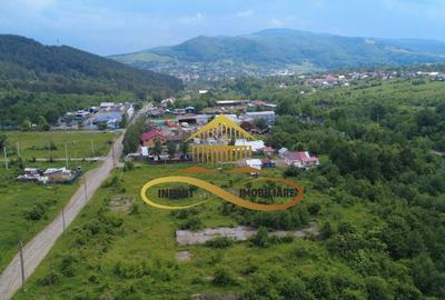 Teren pentru constructie hala indrustriala - Moinesti/Bacau - 3