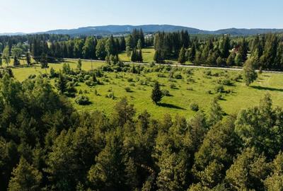 Teren Construcții intravilan de 12743 mp, în Șaru Dornei - 20