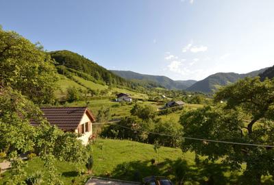 Casă cu 4 camere în Râu Sadului - 6