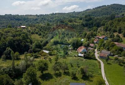 Casă individuală cu 6 camere cu Teren 6082 Mp în Podele - 11