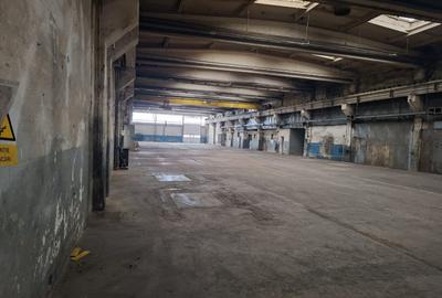 HALE INDUSTRIALE de inchiriat cu birouri, parcari, platforme betonate accces tir - 7