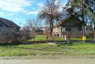 Casă cu 2 camere în Gura Arieșului - 1