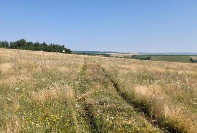 Teren de 5000 mp, în Central