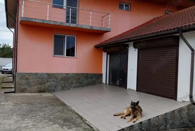 Vand casa individuala - 7