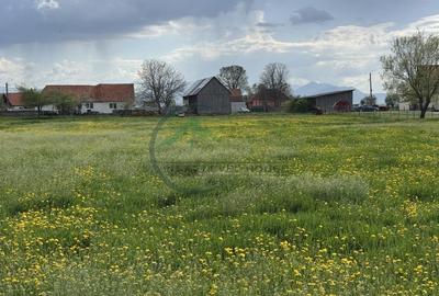 Teren Sat Bacel 6200 mp - 3