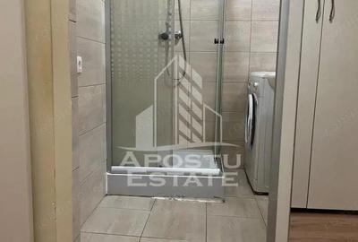 Garsonieră nedecomandată, mobilată în Take Ionescu