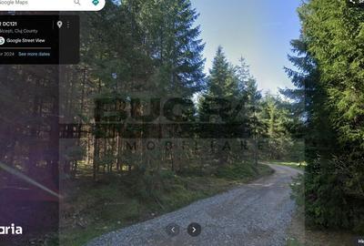 Teren de 1400 mp, în Beliș - 4