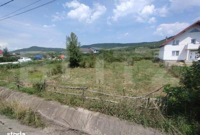 Spațiu comercial, în Șieu - 2