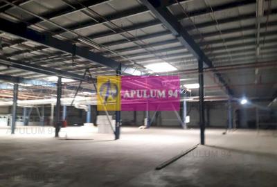 Spațiu industrial, de 4,850 mp, în 1 Decembrie - 31