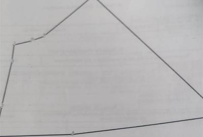 Teren agricol intravilan de 15000 mp, în Ilișești - 3