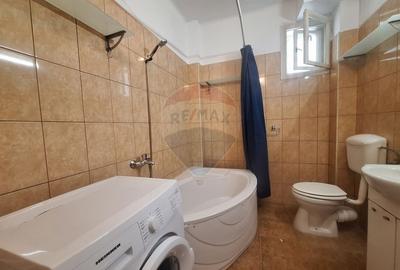 Doua case de vanzare in aceeasi curte, in zona Sub Arini - 19