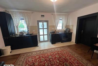 Casă cu 3 camere cu Teren 2000 Mp în Băcia - 8