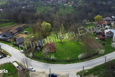 Casă cu 2 camere cu Teren 5800 Mp în Valea Danului - 5