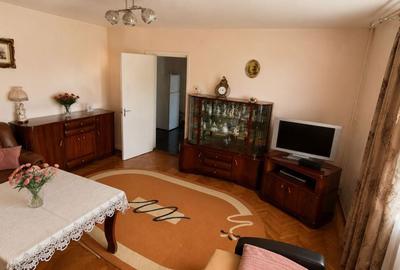 Apartament cu 2 camere decomandat în Brazda lui Novac - 4