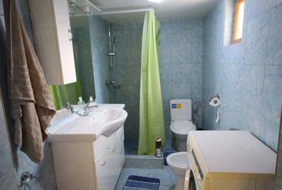 Casa de vanzare in Buzias, zona parc - 8