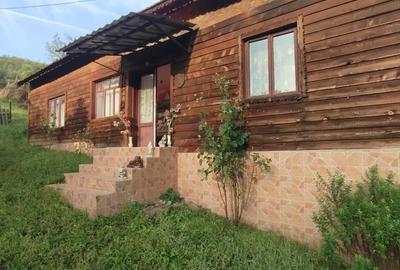 Vand casa zona linistita - 1