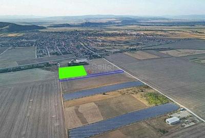 Teren Destinatie Industriala Teren Destinatie Industriala - 3