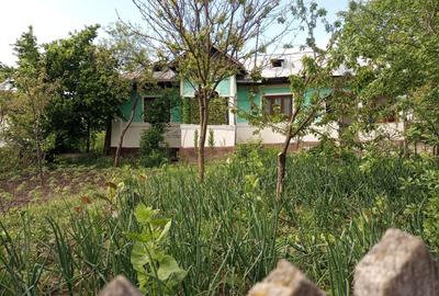 Casă cu 3 camere în Coșerele - 6