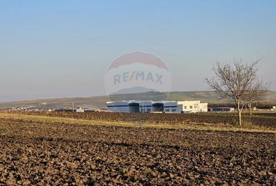 Teren agricol extravilan de 6100 mp, în Stroiești - 11