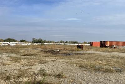 Ovidiu 6 ha teren intravilan construibil îngrădit și platforma betonata. - 6