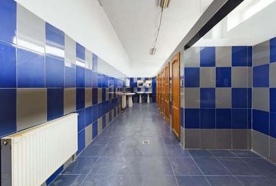 Hala de 2050 mp in Arad - 1