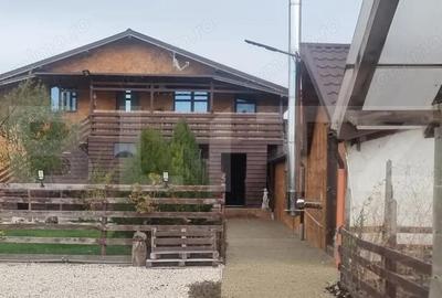 Proprietate multifunctionala,VILA,Teren 28000 mp+afacere piscicultura functionla - 3