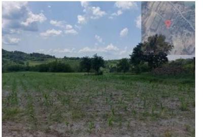 Teren extravilan, loc. Bustuchin, Jud Gorj - 2