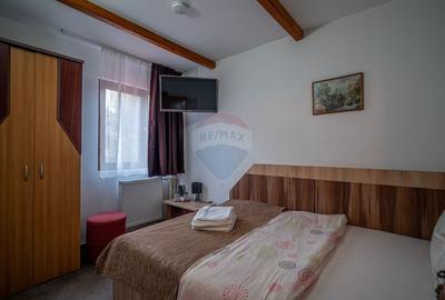 Apartament cu 2 camere decomandat, mobilat în Valea Alba - 5