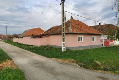 Vand Casa la Jamu Mare 1400m2 - 1