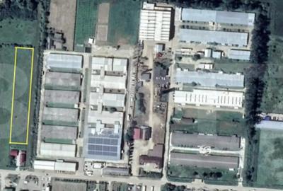 Teren de 4000 mp, în Careiului - 3