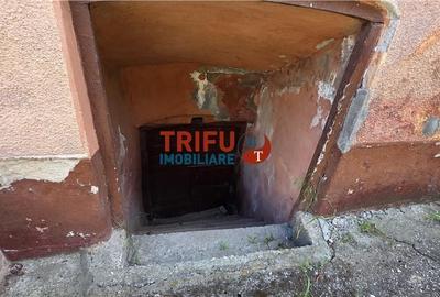 Casă cu 2 camere cu Teren 1600 Mp în Ighiu